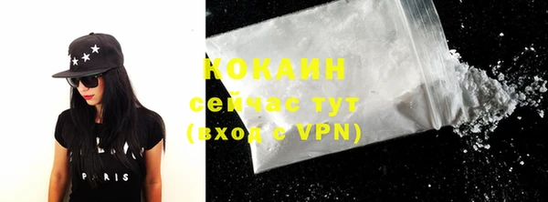 индика Бугульма
