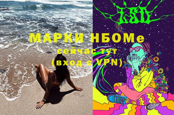 ешки Бронницы