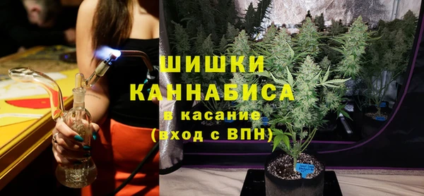 ешки Бронницы