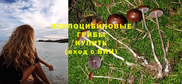 индика Бугульма