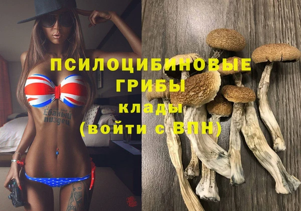 индика Бугульма