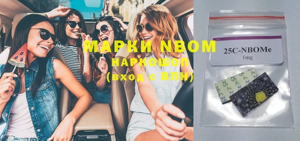 индика Бугульма