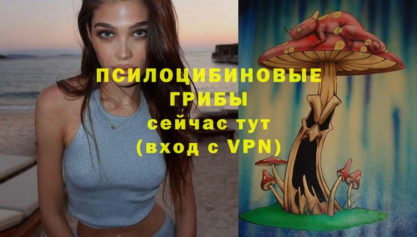 гашиш Бородино