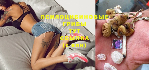 гашиш Бородино