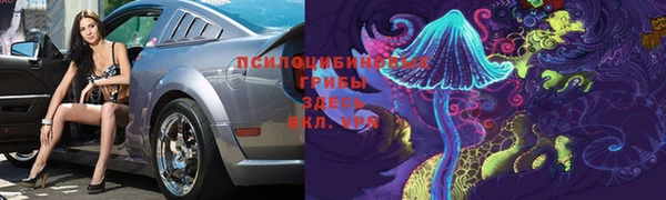 индика Бугульма